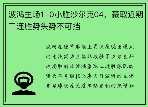 波鸿主场1-0小胜沙尔克04，豪取近期三连胜势头势不可挡