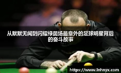 球速体育平台登录入口