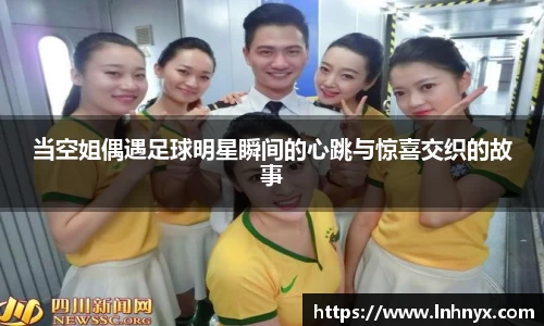 球速体育平台登录入口