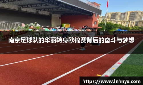 球速体育平台登录入口